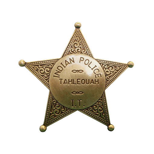 Значок полицейского США DE-108 - фото 186477