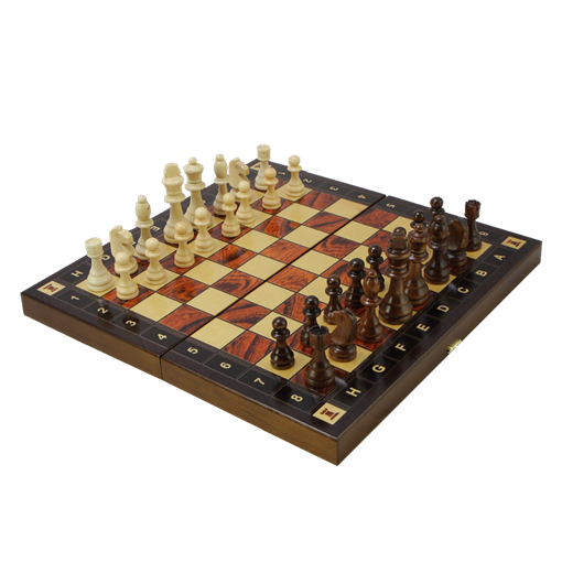 Шахматы с доской Тура SA-SH-504 - фото 187262