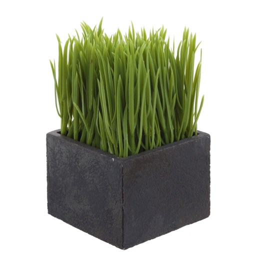 Цветочная композиция,  L10 W10 H16 см - фото 386995