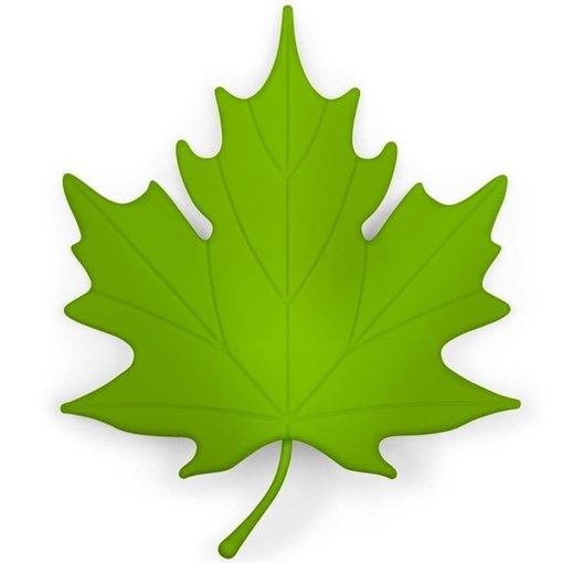 Подпорка для двери Autumn, зеленая - фото 402258