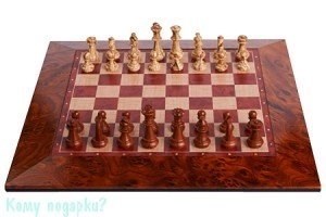 Игра "Шахматы", 19x19 см - фото 42632