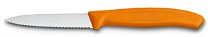 Нож для овощей Викторинокс (Victorinox) SwissClassic 6.7636.L119