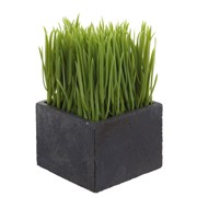 Цветочная композиция,  L10 W10 H16 см