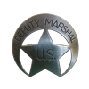 Значок помощника маршала DE-109 - фото 186479
