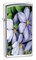 Узкая зажигалка Zippo Purple Petals 24525 - фото 282218