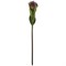 Цветок искусственный "Леукоспермум" H=68 см без упаковки - фото 290095