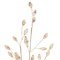 Изделие декоративное "Ветка", L15 W1 H67 см - фото 371627