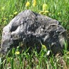 Камень декоративный с Динозавром L46H30W21 см. - фото 68700