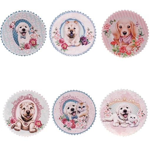 Магнит, D5 см, 6в. - фото 343971