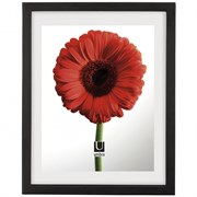 Рамка для грамот document 33х41