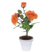 Цветочная композиция "Розы", L10 W10 H34 см
