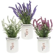Цветочная композиция, L17 W17 H26 см, 3в.