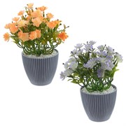 Цветочная композиция, L25 W25 H29 см, 2в.