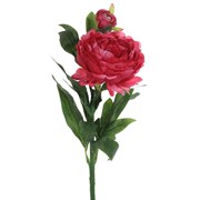 Цветок искусственный "Пион",  L23 W20 H61 см