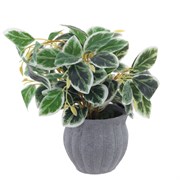 Цветочная композиция,  L25 W25 H33 см
