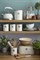 Емкость для печенья living кремовая 3,4 л - фото 246387