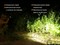 Фонарь Fenix PD35 V2.0 Camo Edition Cree XP-L HI LED - фото 259872