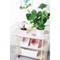 Контейнер для хранения boxxx, organic, 1 л, розовый - фото 317498