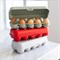 Контейнер для яиц eggs to go, organic, зеленый - фото 325795