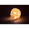 Лампа настольная suck uk, skull light - фото 327436