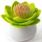 Держатель для зубочисток lotus белый-зеленый - фото 358362