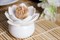 Держатель для зубочисток lotus белый - фото 358366