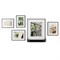 Набор фоторамок, черный, 5 шт. - фото 358901