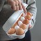 Контейнер для яиц eggs to go, белый - фото 362601