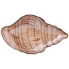 Блюдо "Shell" sand 41 см - фото 399638