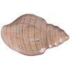 Блюдо "Shell" sand 41 см - фото 399639