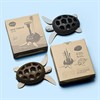 Держатель для зубных щеток/карандашей Turtle, коричневый - фото 403134